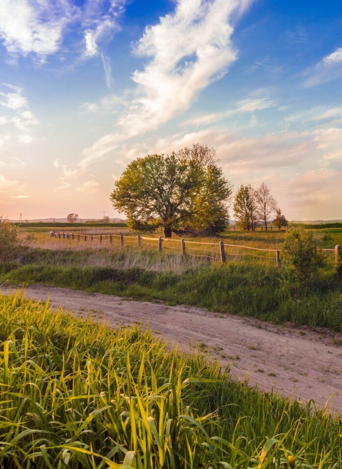 Campagna
