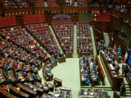 Finito il tormentone, riforma elettorale approvata definitivamente dalla Camera. Ora la palla passa a Mattarella e alla Corte. L’ombra del gatto nero…