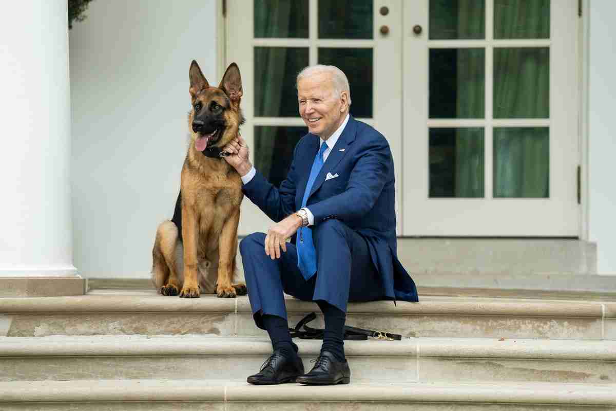 Biden Commander Commander