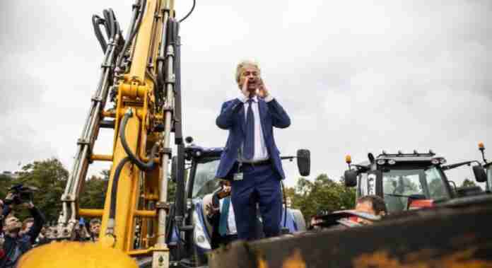 Wilders