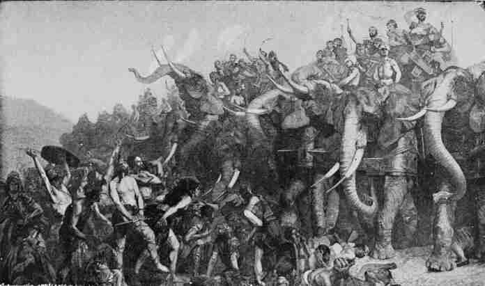 elefante